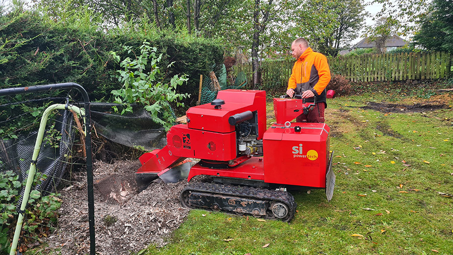 Tree Surgery