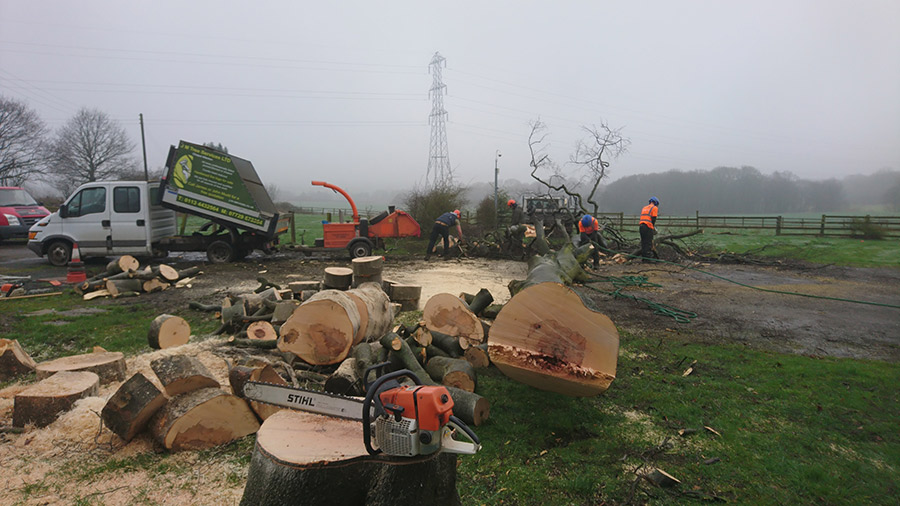 Tree Surgery